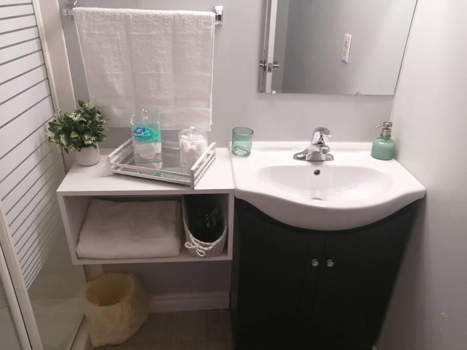 Cozy Nest Basement Unit Apartment Hamilton Exterior foto