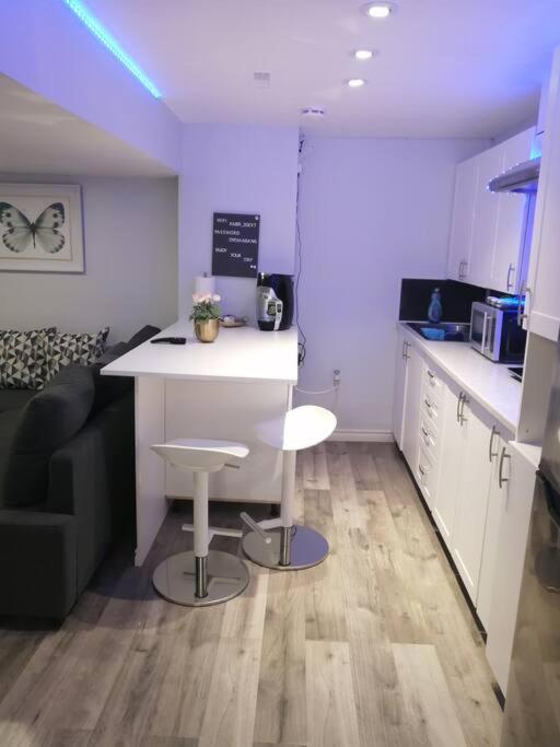Cozy Nest Basement Unit Apartment Hamilton Exterior foto