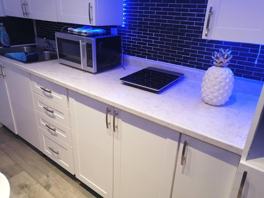 Cozy Nest Basement Unit Apartment Hamilton Exterior foto